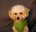 Clyde