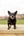 Prue