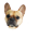 Lola