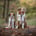 kooikeraussie_adventures