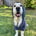 jeter.theretriever