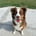 kalitheaussie0124