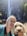 peanutmcdthecockapoo