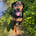mol_lythedoberdor