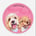 willowthe-cavachon