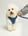 beauthebichon17
