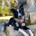 runethebordercollie
