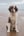 eltonrocketpaws
