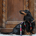 artemisia-dachshund