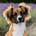 chasetherescuemix