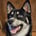 loki_the_d0g_of_mischief