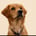itsmarlothegolden