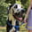 finnthebigman-1
