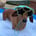 wendellstuart_theweenie
