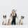 Thesupercollies