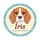 irisabeagle