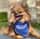 bram_pom