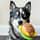 levithepomsky
