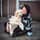 Nalumyservicedog