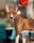 karro_thebasenji