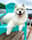 zukothesamoyed