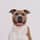 walttheamstaff