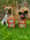 nacho.and.chester