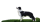 amazing.doggos