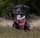 princess_sally_therescue