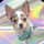 Guccithechihuahah