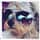 elsinho.dog