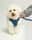 Beauthebichon17