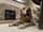coopersplacepetsitter