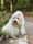 sanne_1411