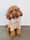 rufus_thetoycavoodle