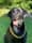 leo_da_lab07