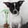 i.am.milow
