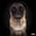 notorious_ted
