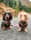 Thelakes.daxieduo