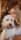 Winston_bear_hill