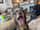 The_Kardoggians