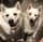 lexandmacy