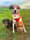Frank_and_baxter_x