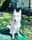ghostthehuskyboy