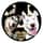 thehusky_laska