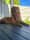 maddy_head13