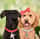 kingsley_charlamagne_thadood