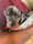 tilly_deteckel