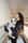 luckydog.bordercollie