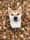 jannestheshiba